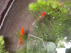 -烟桥私房菜馆(奋哥)