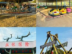 -上海海湾国家森林公园