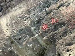 -九曲溪竹筏码头