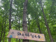 -洛阳市隋唐城遗址植物园