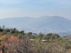 -北京西山国家森林公园