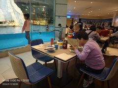 -帝企鹅自助餐厅•儿童岛•真企鹅(长隆企鹅酒店)