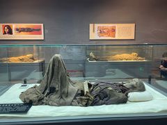 -巴音郭楞蒙古自治州博物馆