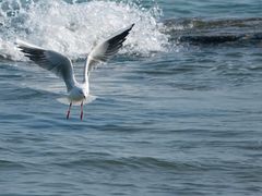 -日照灯塔风景区