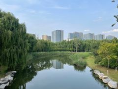 -大兴滨河森林公园