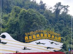 -西双版纳原始森林公园