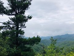 -秦岭风景区