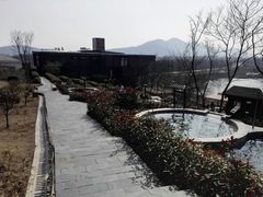 -汤山温泉房车营地 茶温泉