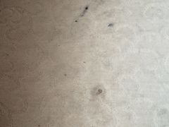 -北京奥北宝迪酒店