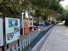 -采粤轩中餐厅(惠州金海湾喜来登度假酒店)