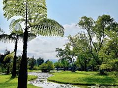 -中国科学院西双版纳热带植物园