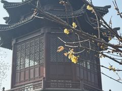 -圆通寺