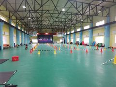 -长春乐奇平衡车儿童体能运动中心