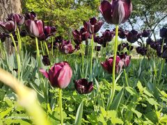 -国家植物园南园