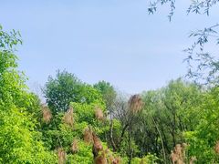 -西湖风景区-江洋畈生态公园