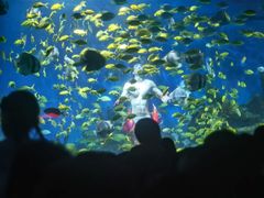 -海合安武汉极地海洋公园