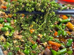 -铁山坪森林公园