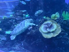 -成都浩海立方海洋公园