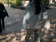 -九龙公园