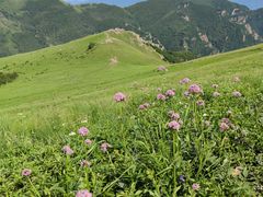 -灵山