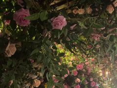 -第101座花园餐厅(湖滨88店)