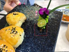 -寻味顺德·珍之宝酒楼(银钻店)