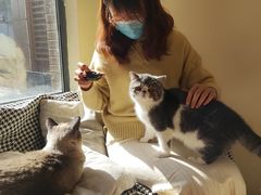 -滚猫咖啡·猫咖·猫友好撸猫(未来城店)