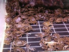 -聚盛源蒸汽海鲜火锅烤肉自助(巨川金海岸购物广场店)