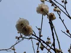-五泄景区