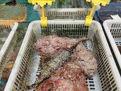 -乐兴海鲜餐厅