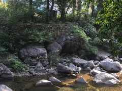 -花岩国家森林公园