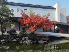 -秋霞圃
