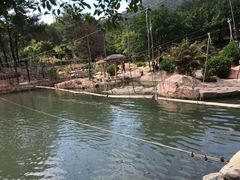 牛鱼嘴原始生态风景区-牛鱼嘴原始生态风景区