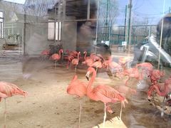 -秦皇岛野生动物园