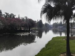 -河泥荡文化公园