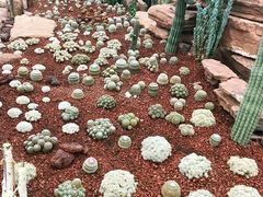 -南通洲际绿博园