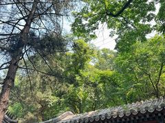 -潭柘寺景区
