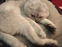 -MIKAKU(万达广场上海宝山店)