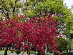 -东坡赤壁风景名胜区