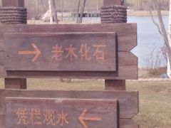 -群力丁香公园