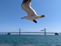 -星海湾跨海大桥