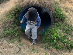 -前小桔亲子创意农场·草莓采摘·露营烧烤