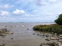 -上海吴淞炮台湾国家湿地公园