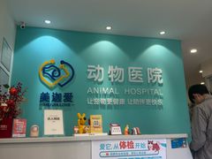 -美迦爱动物医院·夜诊(朝阳路诊疗中心)