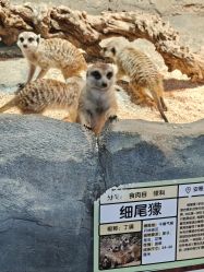 -Zoolung Zoolung动物主题公园(海信广场店)