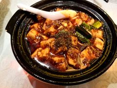 -陈麻婆豆腐总店