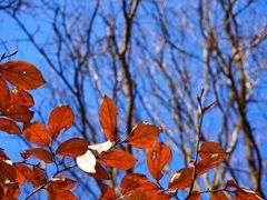 风景-头陀岭景区