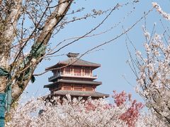 -古柏渡飞黄旅游区