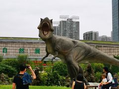 -陕西自然博物馆