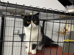 -SAH健身私教工作室(紫东店)